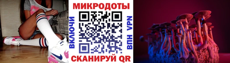 Купить закладки  Дмитров  Галлюциногенные грибы Magic Shrooms 