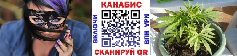 Каннабис индика  Купить где  Дмитров 